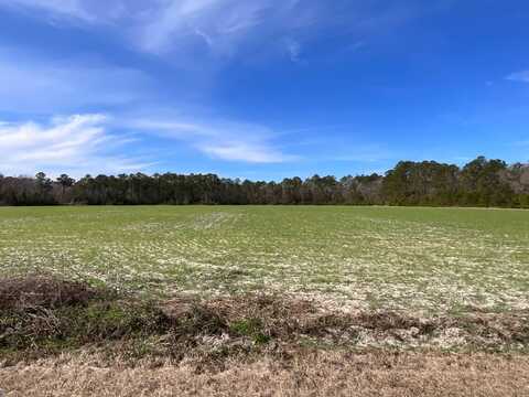6005 Old Salkehatchie Rd, Early Branch, SC 29916