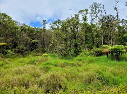 ROAD 7, Volcano, HI 96785