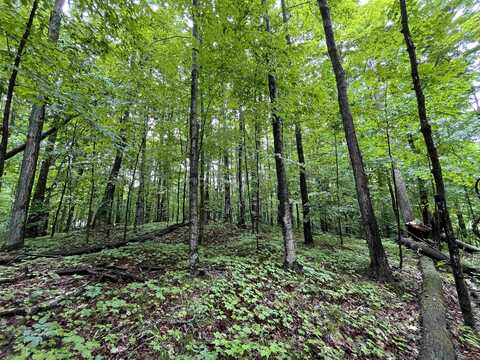 LOT 9 STACEYWOOD CIRCLE, BELLAIRE, MI 49615