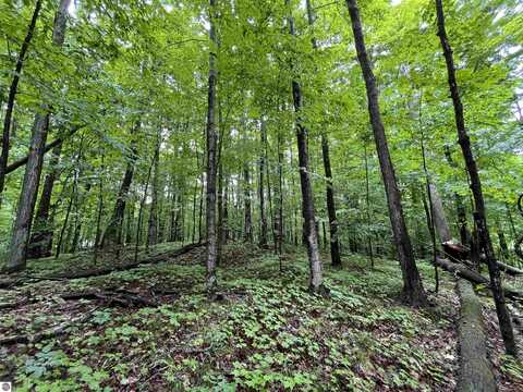 LOT 9 STACEYWOOD CIRCLE, BELLAIRE, MI 49615