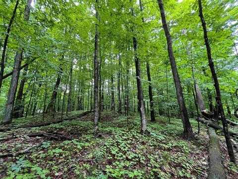 LOT 9 STACEYWOOD CIRCLE, CUSTER TWP, MI 49615