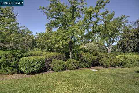 2607 Saklan Indian Dr, Walnut Creek, CA 94595