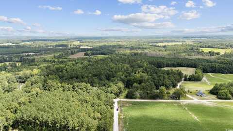 TBD Plainfield Rd., Galivants Ferry, SC 29544