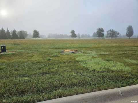 1010 Ring Drive, Metamora, IL 61548