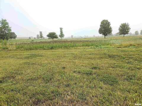 1002 Ring Drive, Metamora, IL 61548