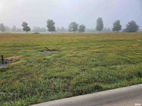 930 Ring Drive, Metamora, IL 61548
