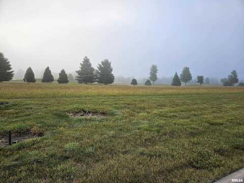 926 Ring Drive, Metamora, IL 61548