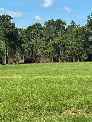 0 County Rd 3339 Lot 15, Brundidge, AL 36010