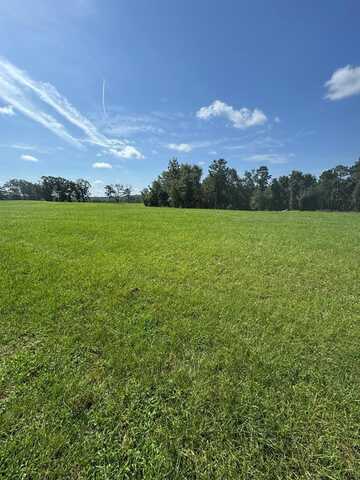 0 County Rd 3339 Lot 14, Brundidge, AL 36010