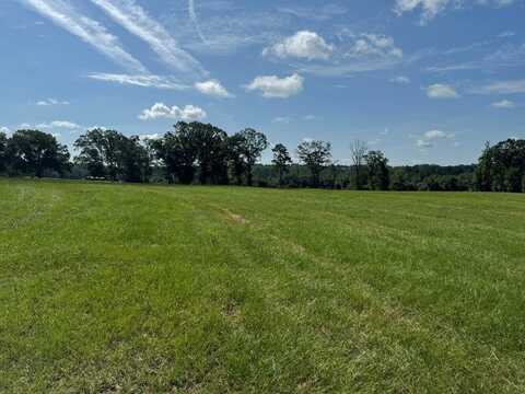 0 County Rd 3339 Lot 12, Brundidge, AL 36010