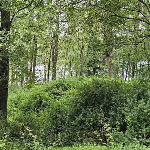 Lot 45 Lake Russell Road, Newfoundland, PA 18445