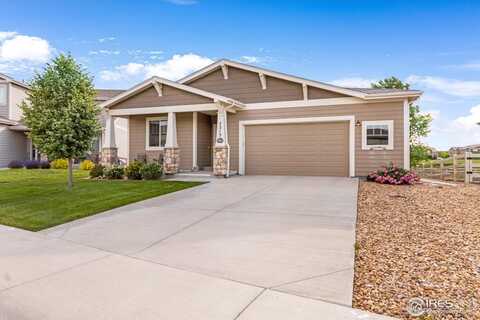 7213 Horsechestnut St, Wellington, CO 80549