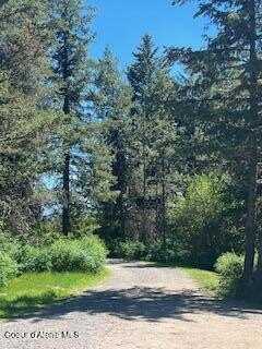 890 Pokey Creek Rd, Saint Maries, ID 83861