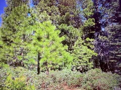 28 Fox Pine Drive, Lake Almanor, CA 96137