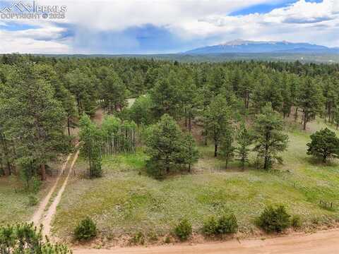 4202 Wildhorn Road, Florissant, CO 80816