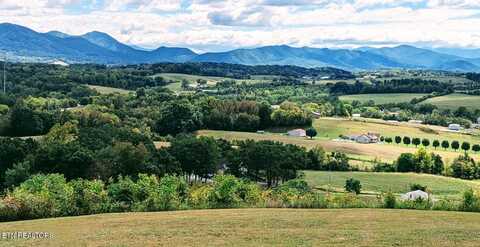 208 n Hwy 340, Parrottsville, TN 37843