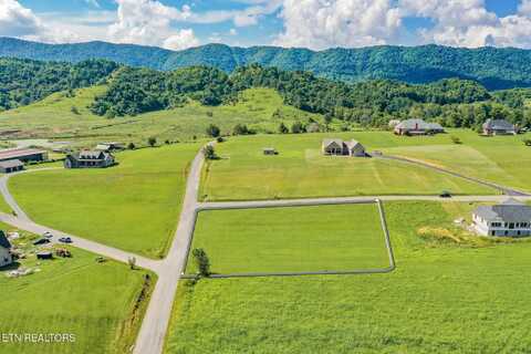 lot 20 & 21 Starling Lane, Speedwell, TN 37870