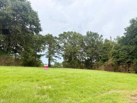 0 Rolling Rdg, Poplarville, MS 39470