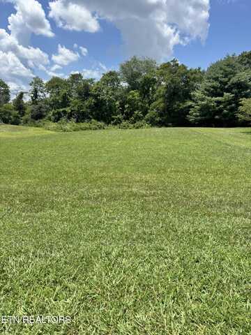 Magnolia Way, Madisonville, TN 37354