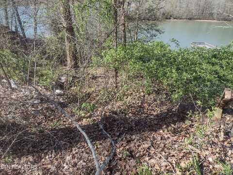 0 Sportsmans Club Rd, Harriman, TN 37748