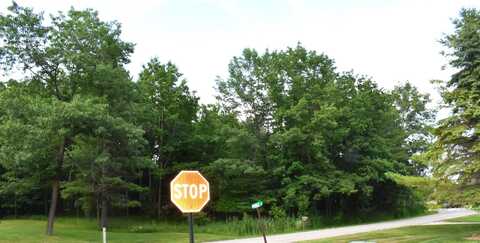 Lot 234 Kings, Gladwin, MI 48624