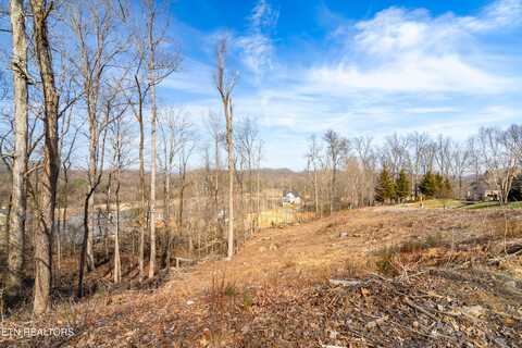 200 Windswept Drive, Lenoir City, TN 37772
