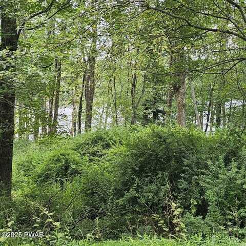 Lot 45 Lake Russell Road, Newfoundland, PA 18445