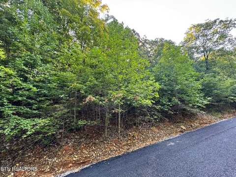 626 North Pointe Tr, Allons, TN 38541