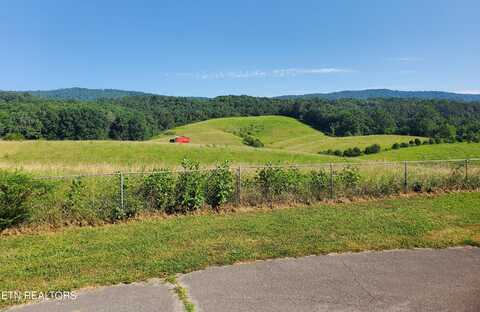 2783 Rutledge Pike, Blaine, TN 37709