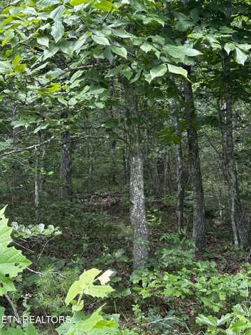 1024 Hopi Drive, Crossville, TN 38572