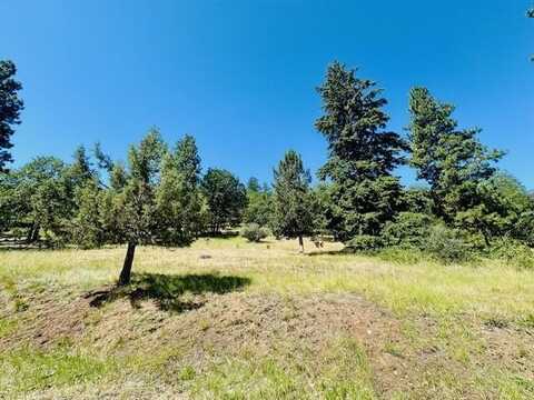 Coopers Hawk Road, Klamath Falls, OR 97601