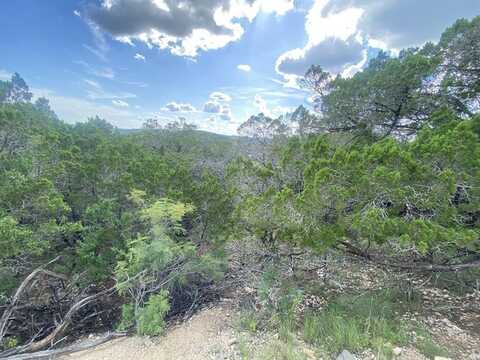 Catclaw, Concan, TX 78838