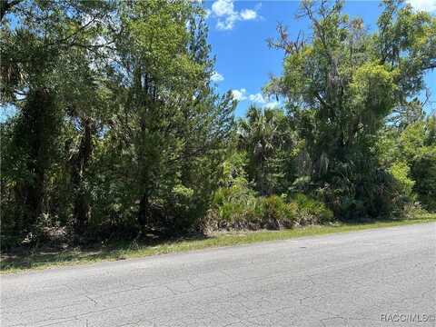 10257 N Coco Plumosa Drive, Crystal River, FL 34428