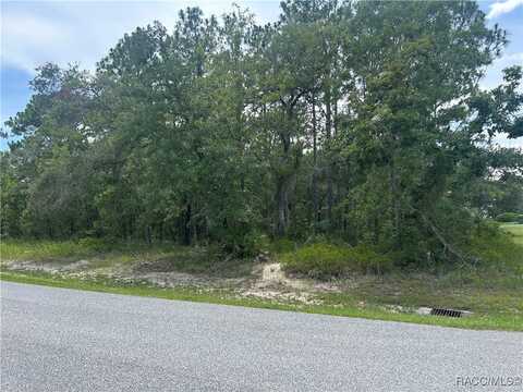 165 Daisy Street, Homosassa, FL 34446