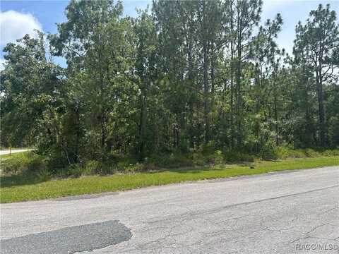 1 Gloxinias Court, Homosassa, FL 34446