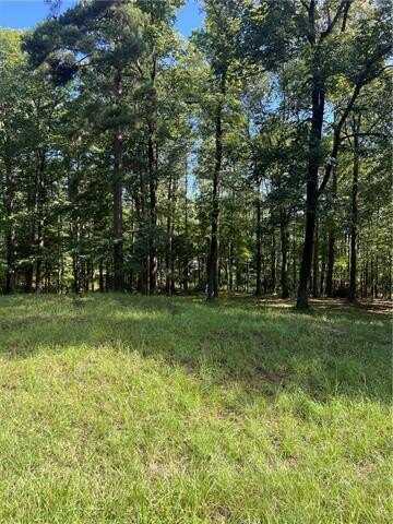 1009 EAST NANTACHIE Drive, Montgomery, LA 71454