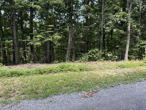 Lot 36 Pecan Tree Lane, Newport, TN 37821