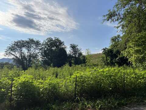 378-c Rocky Top, Newport, TN 37821