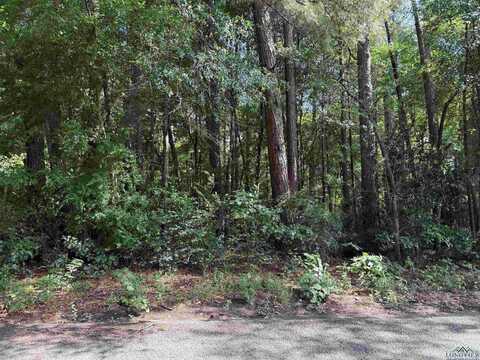 801 ETHEL ST, Longview, TX 75602