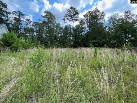 769 Club Cottage Drive, Blythewood, SC 29016