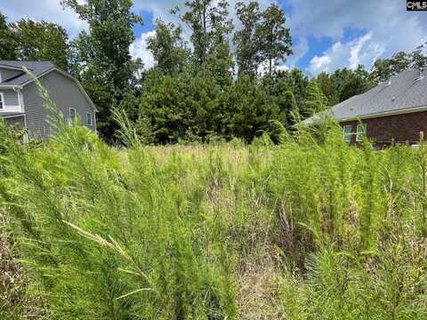 84 Dogwood Cottage Court, Blythewood, SC 29016