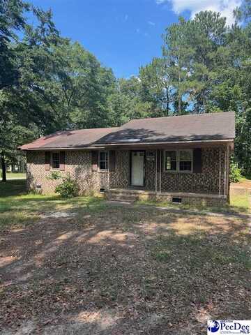 166 Pinestraw Road, Bennettsville, SC 29512
