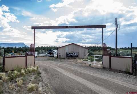 38550 Road J.5, Mancos, CO 81328