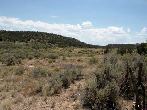 TBD Highway 141, Naturita, CO 81422