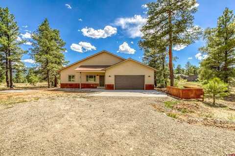 18 Home Court, Pagosa Springs, CO 81147