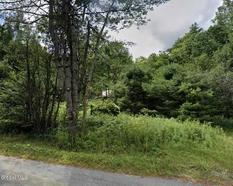 334 Grassville Road, Horicon, NY 12815