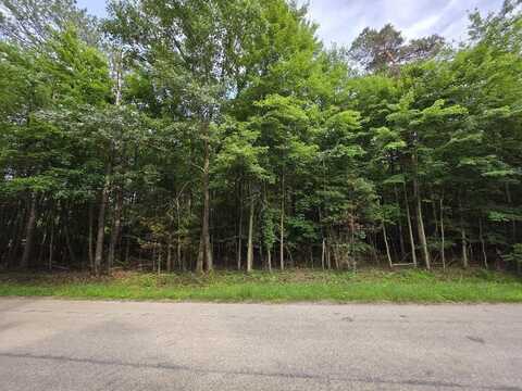 COUNTY RD W, WILD ROSE, WI 54984