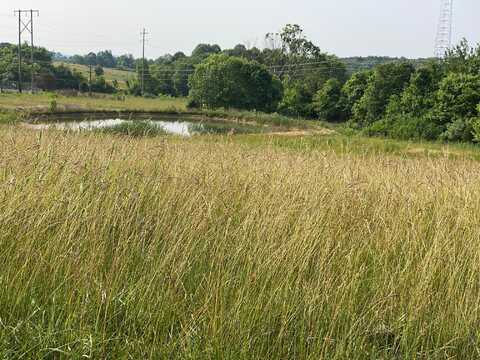 1 W Todd Road, Science Hill, KY 42553