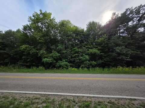 SPRUCE Drive, WILD ROSE, WI 54984
