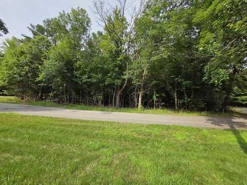 PINE Lane, WILD ROSE, WI 54984